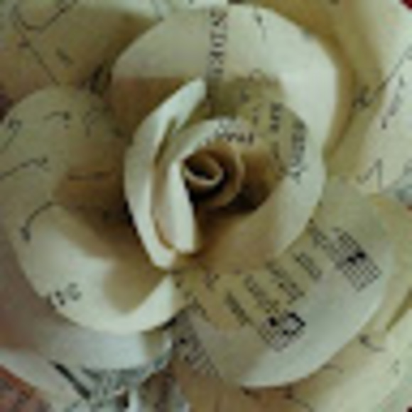 Meet your Posher, Pavmarox - Picture 1 of 1